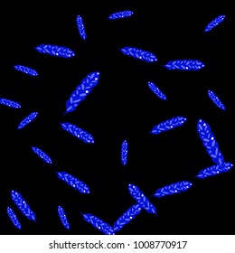 Feather Pattern, bright colorful background, cute and fun decoration. Black background. Vector illustration for celebration, party, carnival, festive holiday and Your project.