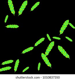 Feather Pattern, bright colorful background, cute and fun decoration. Black background. Vector illustration for celebration, party, carnival, festive holiday and Your project.