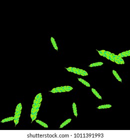 Feather Pattern, bright colorful background, cute and fun decoration. Black background. Vector illustration for celebration, party, carnival, festive holiday and Your project.