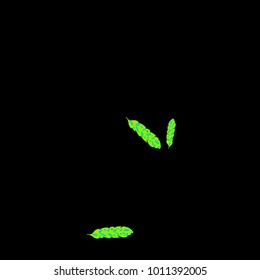 Feather Pattern, bright colorful background, cute and fun decoration. Black background. Vector illustration for celebration, party, carnival, festive holiday and Your project.