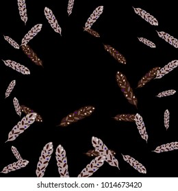 Feather Pattern, bright colorful background, cute and fun decoration. Black background. Vector illustration for celebration, party, carnival, festive holiday and Your project.