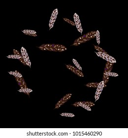 Feather Pattern, bright colorful background, cute and fun decoration. Black background. Vector illustration for celebration, party, carnival, festive holiday and Your project.