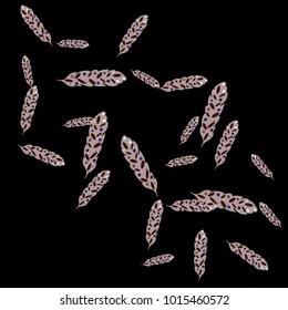 Feather Pattern, bright colorful background, cute and fun decoration. Black background. Vector illustration for celebration, party, carnival, festive holiday and Your project.