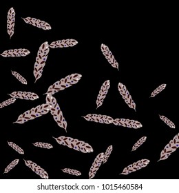 Feather Pattern, bright colorful background, cute and fun decoration. Black background. Vector illustration for celebration, party, carnival, festive holiday and Your project.