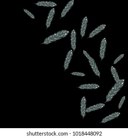 Feather Pattern, bright colorful background, cute and fun decoration. Black background. Vector illustration for celebration, party, carnival, festive holiday and Your project.