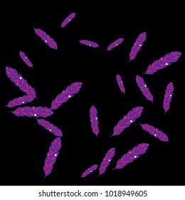 Feather Pattern, bright colorful background, cute and fun decoration. Black background. Vector illustration for celebration, party, carnival, festive holiday and Your project.