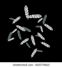 Feather Pattern, bright colorful background, cute and fun decoration. Black background. Vector illustration for celebration, party, carnival, festive holiday and Your project.