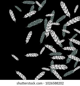 Feather Pattern, bright colorful background, cute and fun decoration. Black background. Vector illustration for celebration, party, carnival, festive holiday and Your project.
