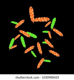 Feather Pattern, bright colorful background, cute and fun decoration. Black background. Vector illustration for celebration, party, carnival, festive holiday and Your project.