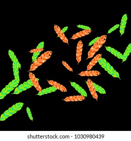 Feather Pattern, bright colorful background, cute and fun decoration. Black background. Vector illustration for celebration, party, carnival, festive holiday and Your project.