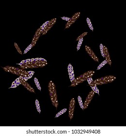 Feather Pattern, bright colorful background, cute and fun decoration. Black background. Vector illustration for celebration, party, carnival, festive holiday and Your project.