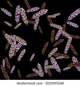 Feather Pattern, bright colorful background, cute and fun decoration. Black background. Vector illustration for celebration, party, carnival, festive holiday and Your project.