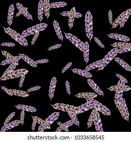 Feather Pattern, bright colorful background, cute and fun decoration. Black background. Vector illustration for celebration, party, carnival, festive holiday and Your project.