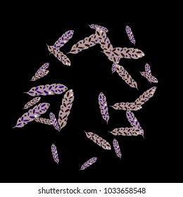 Feather Pattern, bright colorful background, cute and fun decoration. Black background. Vector illustration for celebration, party, carnival, festive holiday and Your project.