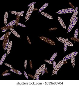 Feather Pattern, bright colorful background, cute and fun decoration. Black background. Vector illustration for celebration, party, carnival, festive holiday and Your project.