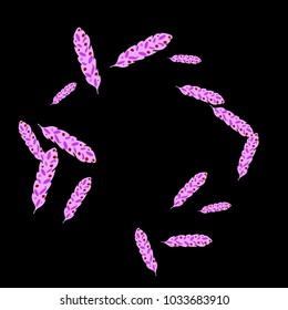 Feather Pattern, bright colorful background, cute and fun decoration. Black background. Vector illustration for celebration, party, carnival, festive holiday and Your project.