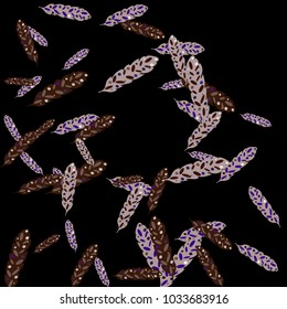 Feather Pattern, bright colorful background, cute and fun decoration. Black background. Vector illustration for celebration, party, carnival, festive holiday and Your project.