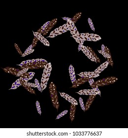 Feather Pattern, bright colorful background, cute and fun decoration. Black background. Vector illustration for celebration, party, carnival, festive holiday and Your project.