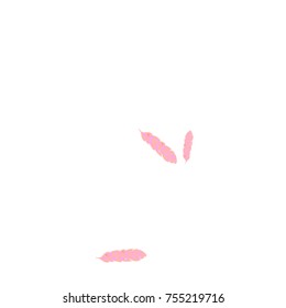 Feather Pattern, bright colorful background, cute and fun decoration. Vector illustration for celebration, party, carnival, festive holiday and Your project.