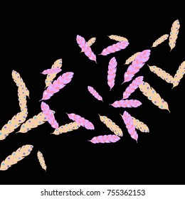 Feather Pattern, bright colorful background, cute and fun decoration. Vector illustration for celebration, party, carnival, festive holiday and Your project. Black background