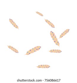 Feather Pattern, bright colorful background, cute and fun decoration. Vector illustration for celebration, party, carnival, festive holiday and Your project.