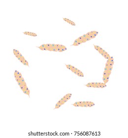 Feather Pattern, bright colorful background, cute and fun decoration. Vector illustration for celebration, party, carnival, festive holiday and Your project.