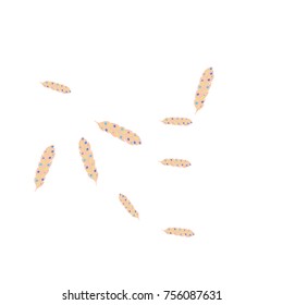 Feather Pattern, bright colorful background, cute and fun decoration. Vector illustration for celebration, party, carnival, festive holiday and Your project.