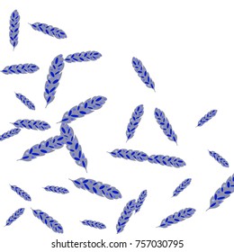 Feather Pattern, bright colorful background, cute and fun decoration. Vector illustration for celebration, party, carnival, festive holiday and Your project.