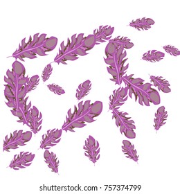Feather Pattern, bright colorful background, cute and fun decoration. Vector illustration for celebration, party, carnival, festive holiday and Your project.