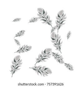 Feather Pattern, bright colorful background, cute and fun decoration. Vector illustration for celebration, party, carnival, festive holiday and Your project.