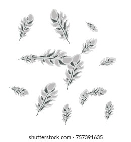 Feather Pattern, bright colorful background, cute and fun decoration. Vector illustration for celebration, party, carnival, festive holiday and Your project.