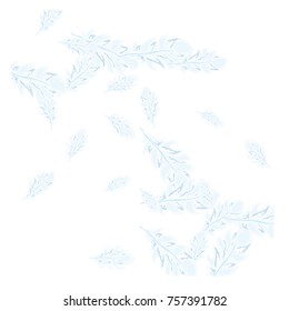 Feather Pattern, bright colorful background, cute and fun decoration. Vector illustration for celebration, party, carnival, festive holiday and Your project.