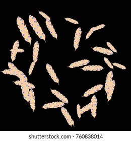 Feather Pattern, bright colorful background, cute and fun decoration. Black background. Vector illustration for celebration, party, carnival, festive holiday and Your project.