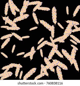 Feather Pattern, bright colorful background, cute and fun decoration. Black background. Vector illustration for celebration, party, carnival, festive holiday and Your project.