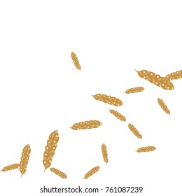 Feather Pattern, bright colorful background, cute and fun decoration. Vector illustration for celebration, party, carnival, festive holiday and Your project.