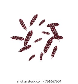 Feather Pattern, bright colorful background, cute and fun decoration. Vector illustration for celebration, party, carnival, festive holiday and Your project.