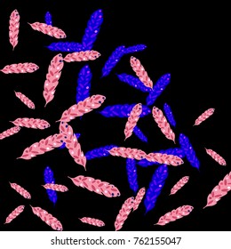 Feather Pattern, bright colorful background, cute and fun decoration. Black background. Vector illustration for celebration, party, carnival, festive holiday and Your project.