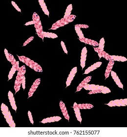 Feather Pattern, bright colorful background, cute and fun decoration. Black background. Vector illustration for celebration, party, carnival, festive holiday and Your project.