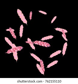 Feather Pattern, bright colorful background, cute and fun decoration. Black background. Vector illustration for celebration, party, carnival, festive holiday and Your project.