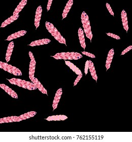Feather Pattern, bright colorful background, cute and fun decoration. Black background. Vector illustration for celebration, party, carnival, festive holiday and Your project.
