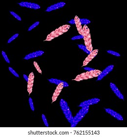 Feather Pattern, bright colorful background, cute and fun decoration. Black background. Vector illustration for celebration, party, carnival, festive holiday and Your project.