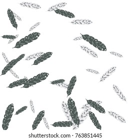 Feather Pattern, bright colorful background, cute and fun decoration. Vector illustration for celebration, party, carnival, festive holiday and Your project.
