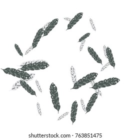 Feather Pattern, bright colorful background, cute and fun decoration. Vector illustration for celebration, party, carnival, festive holiday and Your project.