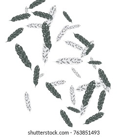 Feather Pattern, bright colorful background, cute and fun decoration. Vector illustration for celebration, party, carnival, festive holiday and Your project.