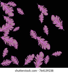 Feather Pattern, bright colorful background, cute and fun decoration. Black background. Vector illustration for celebration, party, carnival, festive holiday and Your project.