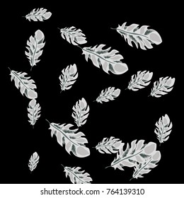 Feather Pattern, bright colorful background, cute and fun decoration. Black background. Vector illustration for celebration, party, carnival, festive holiday and Your project.