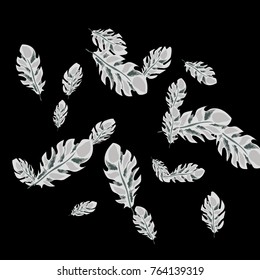 Feather Pattern, bright colorful background, cute and fun decoration. Black background. Vector illustration for celebration, party, carnival, festive holiday and Your project.