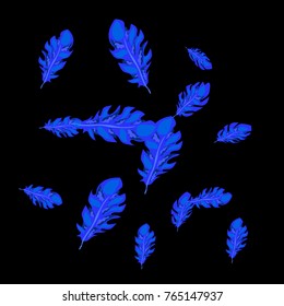 Feather Pattern, bright colorful background, cute and fun decoration. Black background. Vector illustration for celebration, party, carnival, festive holiday and Your project.