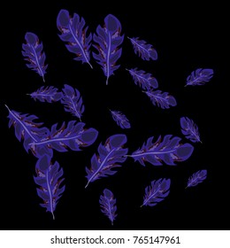Feather Pattern, bright colorful background, cute and fun decoration. Black background. Vector illustration for celebration, party, carnival, festive holiday and Your project.