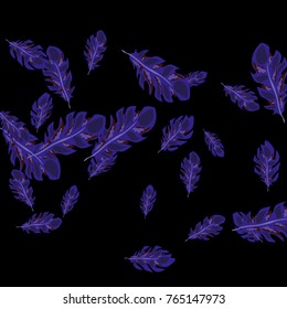 Feather Pattern, bright colorful background, cute and fun decoration. Black background. Vector illustration for celebration, party, carnival, festive holiday and Your project.